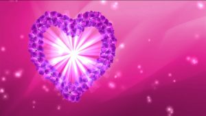 Buy Flowers hearts video