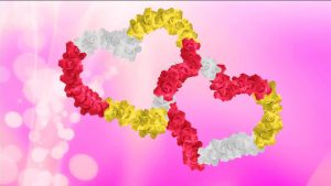 Buy multicolor video hearts